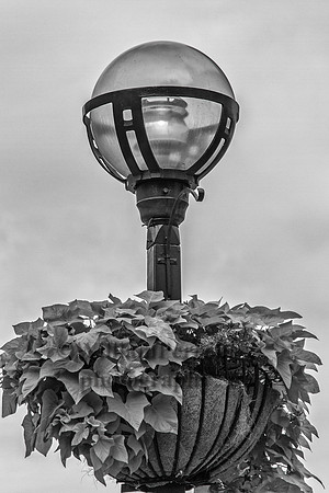 _MG_2303