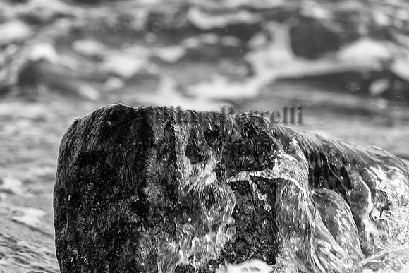 _MG_2354