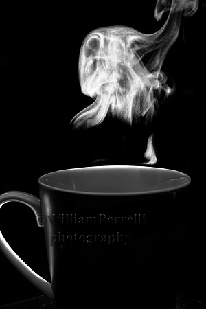_MG_4563