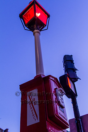 _MG_2979