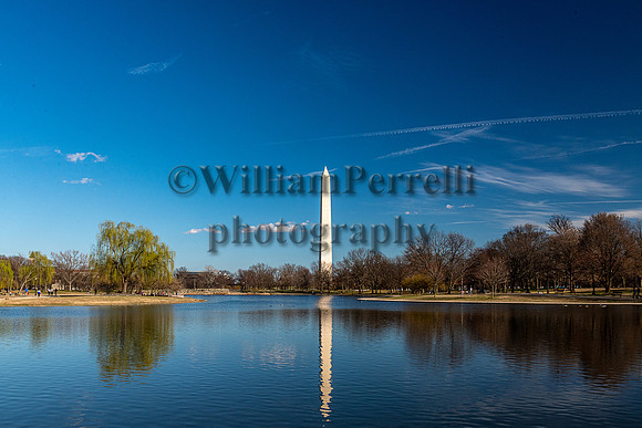 DSC_3582-2