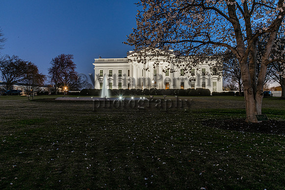 DSC_3598-3