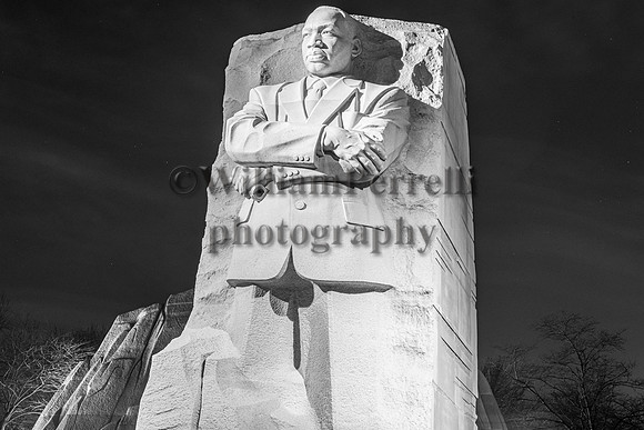 DSC_3697