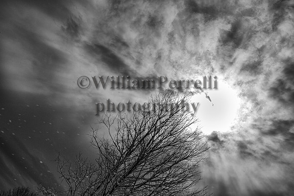 _MG_3919