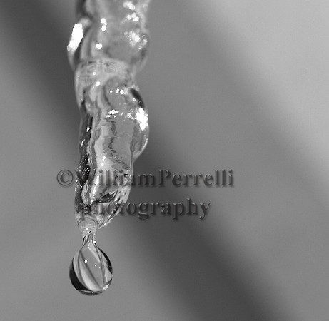 IMG_3853