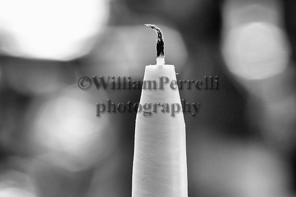 _MG_5259 - Copy