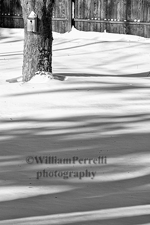 _MG_0865-2 - Copy