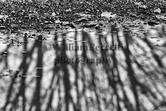 _MG_5328 - Copy