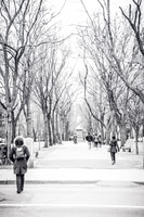0C9A2426 - Copy