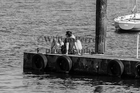 DSC_0493 - Copy