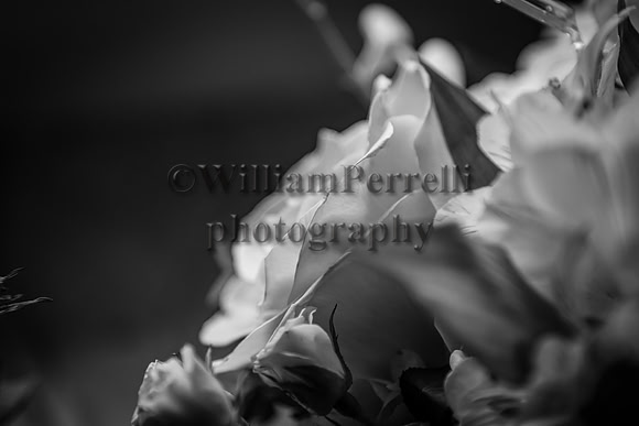 DSC_4895