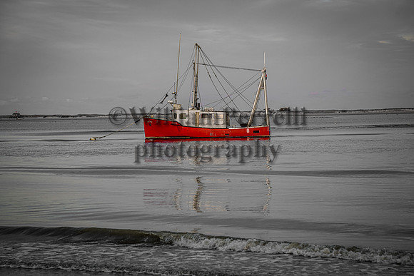 DSC_9606