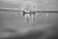 DSC_9626