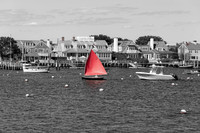 DSC_2960