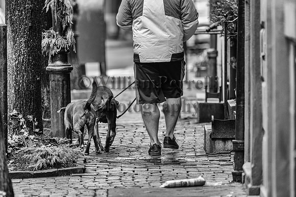 DSC_5181