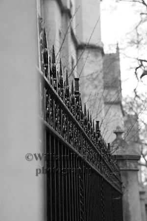 IMG_5509