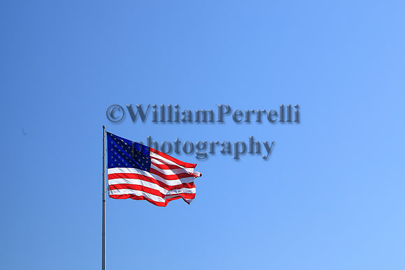 _MG_0470