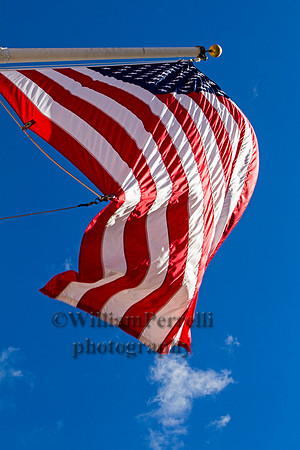 _MG_5605