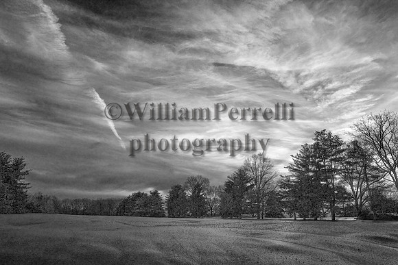 IMG_5117