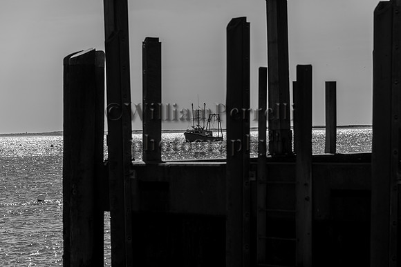 DSC_9133-3
